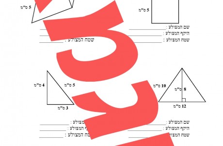 חישובי שטחים והיקפי מצולעים